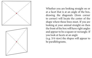 diagonals.jpg