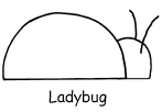 Ladybug, pattern